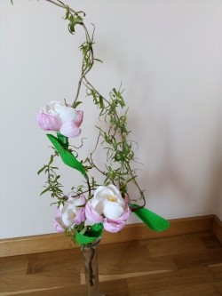 IMG 20200510 114752