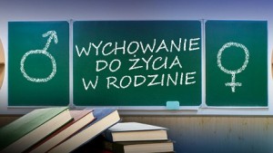 wdz