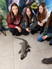 IMG 20260427 114216